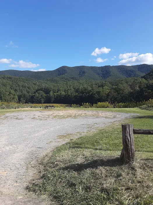 Caldwell Fields Campground 10