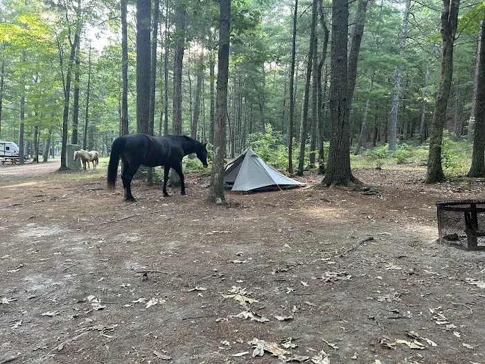 Country Campground 3
