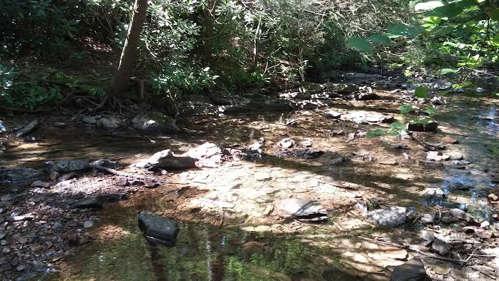 Boley Field Group Campground 6