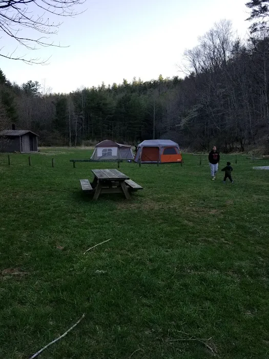 Boley Field Group Campground 3