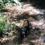 Boley Field Group Campground