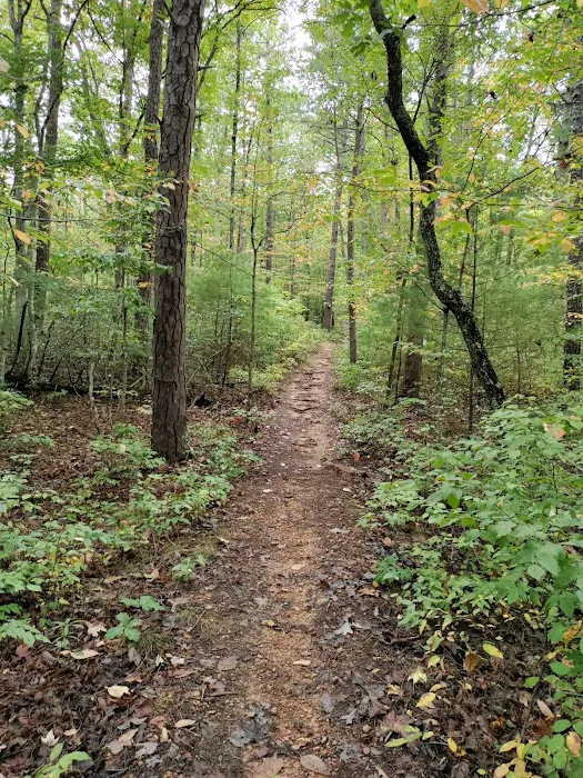Boley Field Group Campground 10