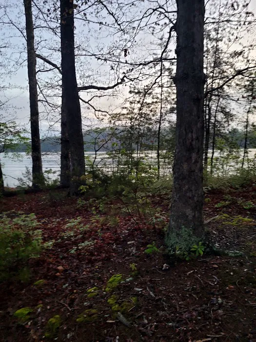 Betty's Island 6