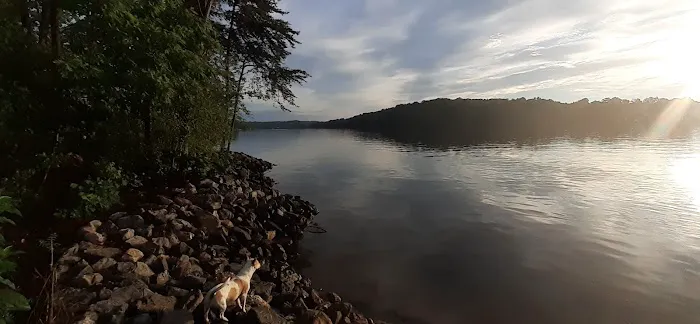 Betty's Island 10