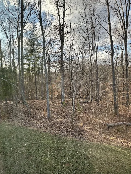 Don's Cab-Inns Campground 6