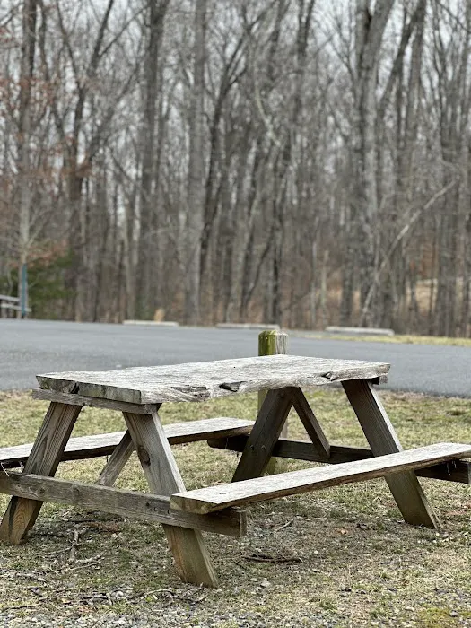 Don's Cab-Inns Campground 5