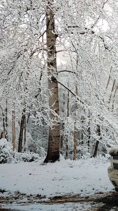 Leesville Lake Campground, LLC 10