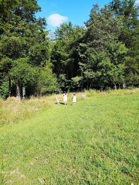 Camp Karma 3