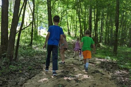 Country Line Creek Campground