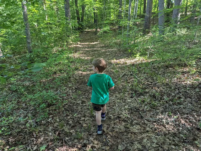 Country Line Creek Campground 8