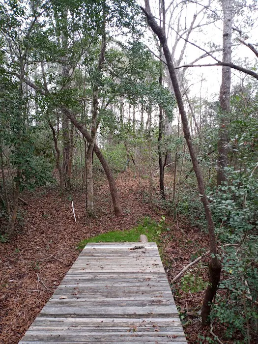 Willows Landing Campground 2