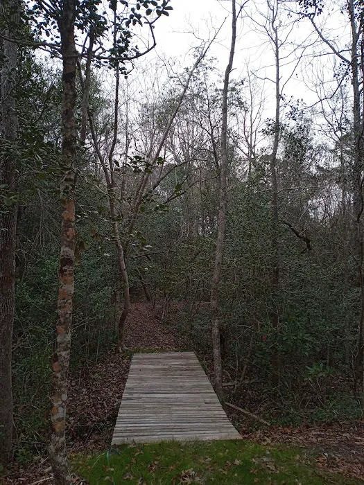 Willows Landing Campground 4