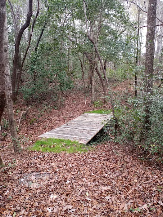 Willows Landing Campground 5