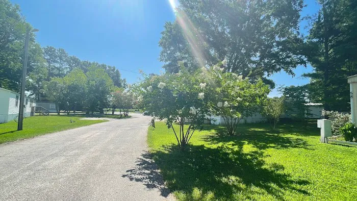 Brook Valley 5