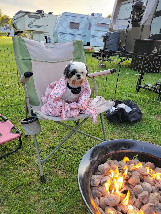 Rons RV Campground 5