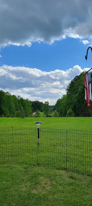 Rons RV Campground 8