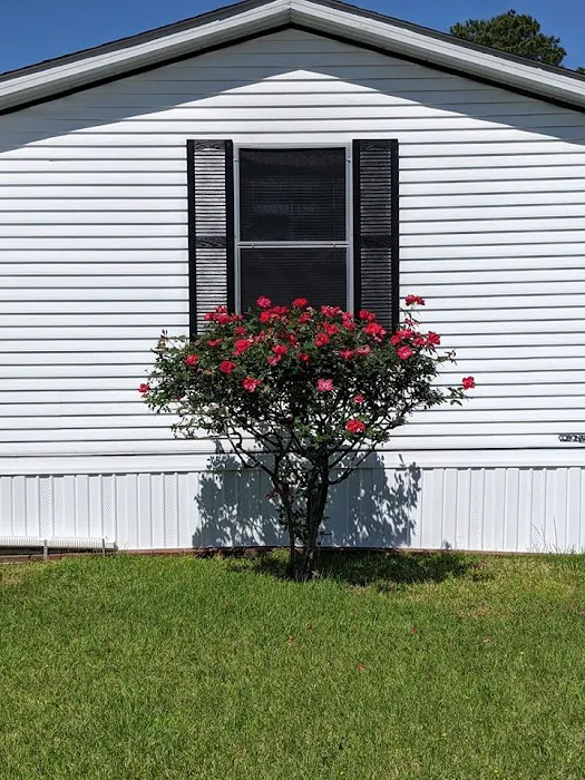 Winterville Mobile Home Community 7