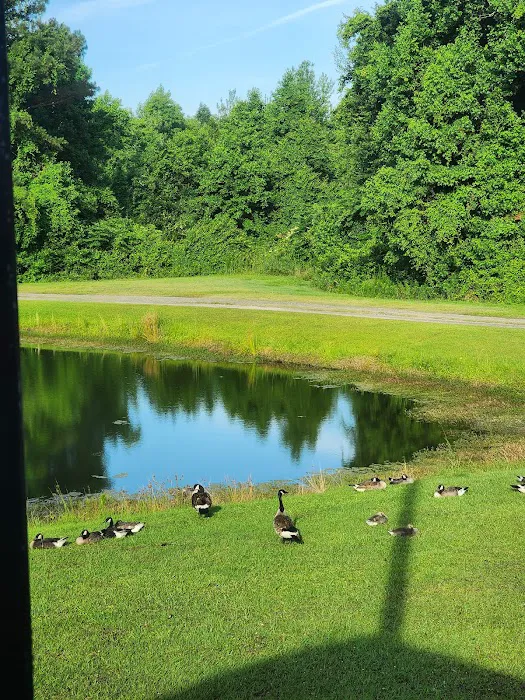 W.R. Willis RV Campground 10