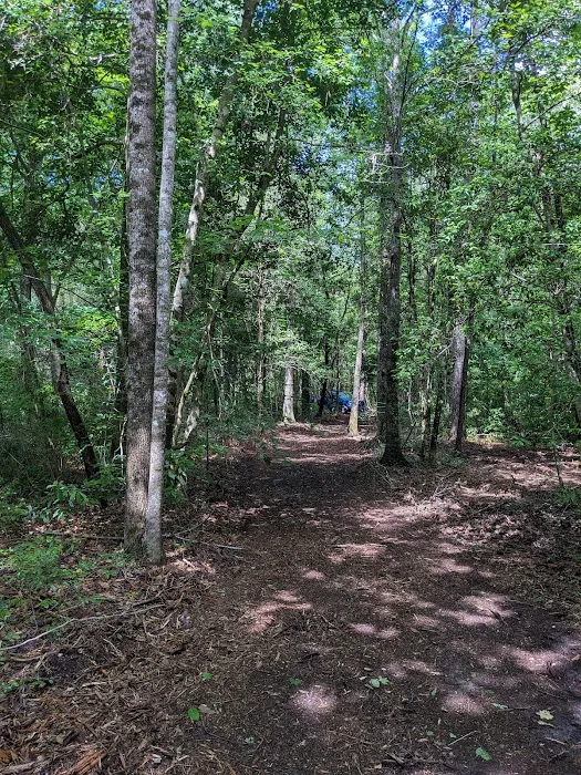 Dragonfly Trail 2