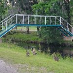 White Oak River Campground