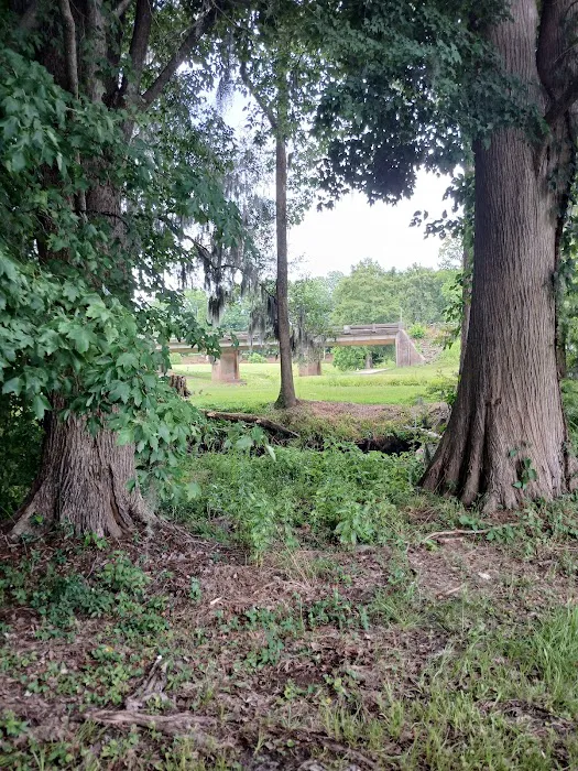 White Oak River Campground 6