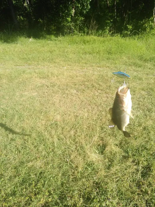 White Oak River Campground 9