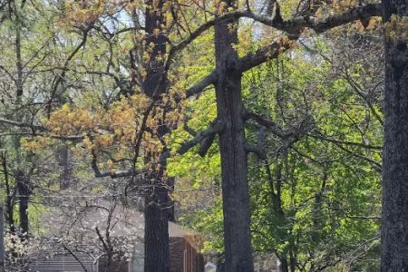 Watkins Campground