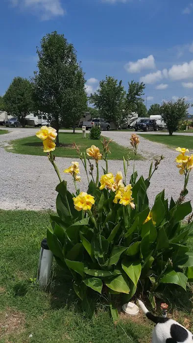Delta Ridge RV Park 8