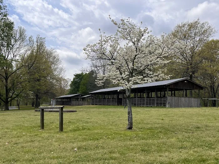 Equestrian Camp 2