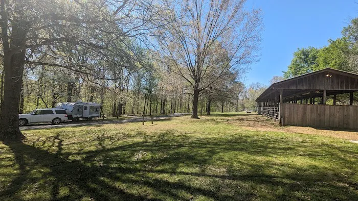 Equestrian Camp 3