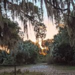 Hickory Hammock Equestrian Campground