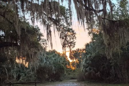 Hickory Hammock Equestrian Campground