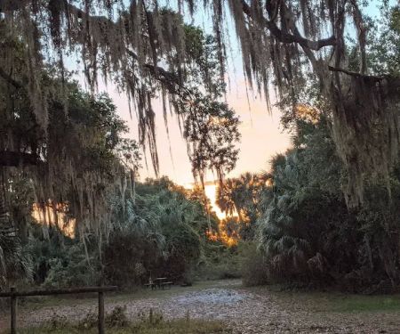 Hickory Hammock Equestrian Campground
