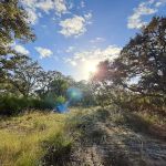 Starvation Slough Campsite