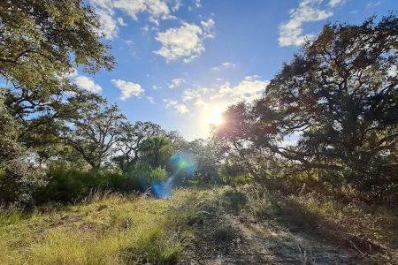 Starvation Slough Campsite