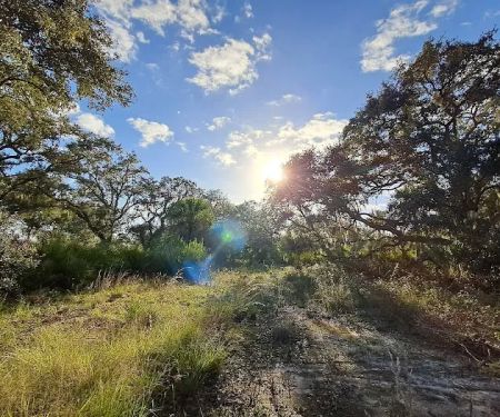 Starvation Slough Campsite