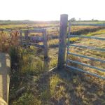 Oak Creek South Campsite