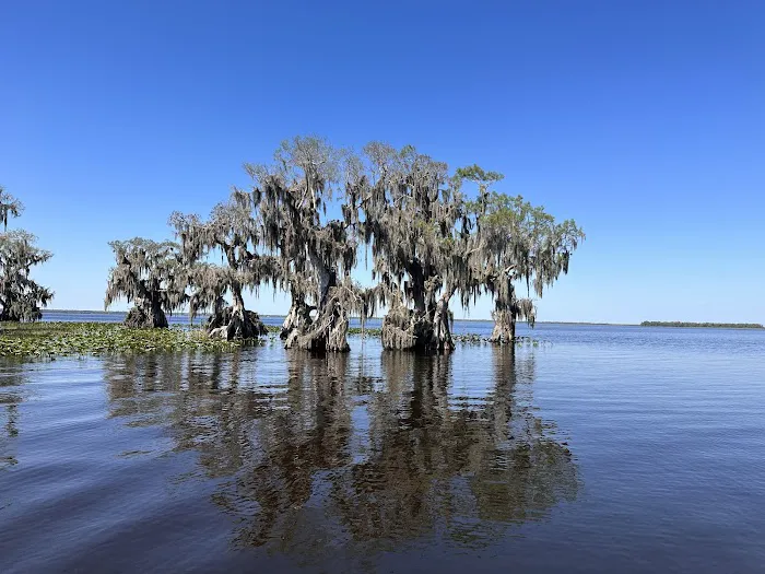 Cypress Isle RV Park & Marina 1