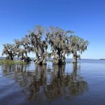 Cypress Isle RV Park & Marina