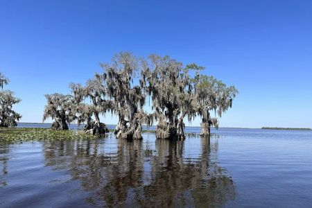Cypress Isle RV Park & Marina