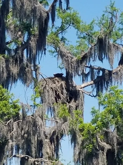 Cypress Isle RV Park & Marina 5