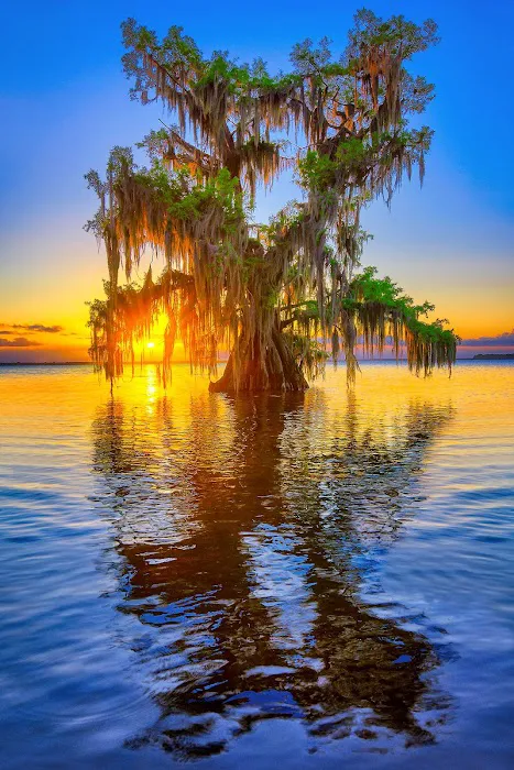 Cypress Isle RV Park & Marina 7