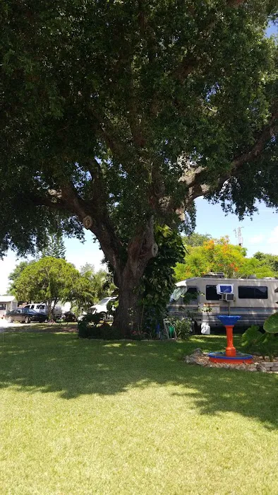 Big Oak Trailer Park 6