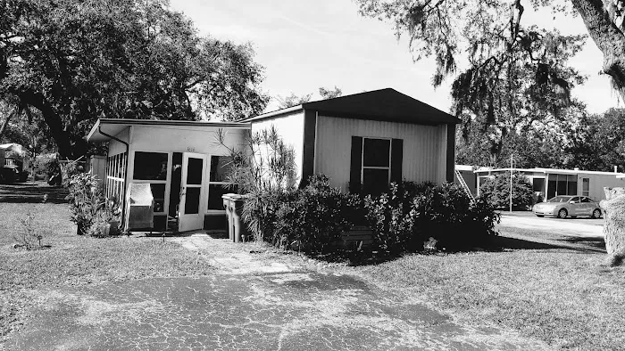 Orange Manor 8