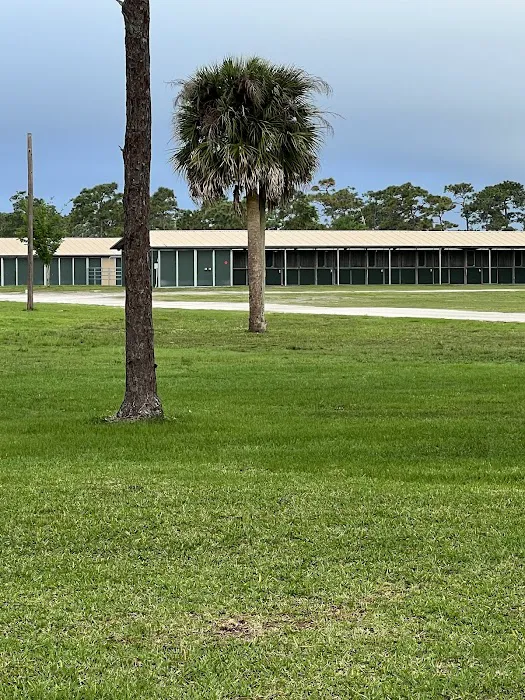 Wickham Park Campground 4