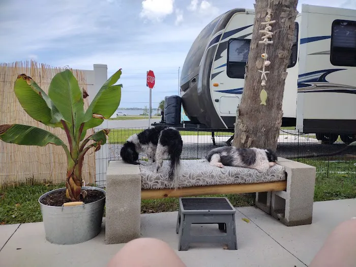 Palm Shores RV Park 2