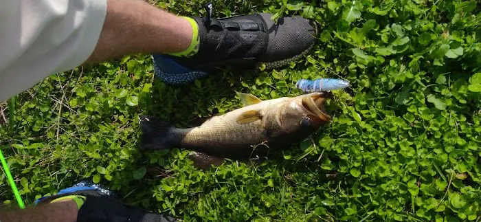 Riverview 9