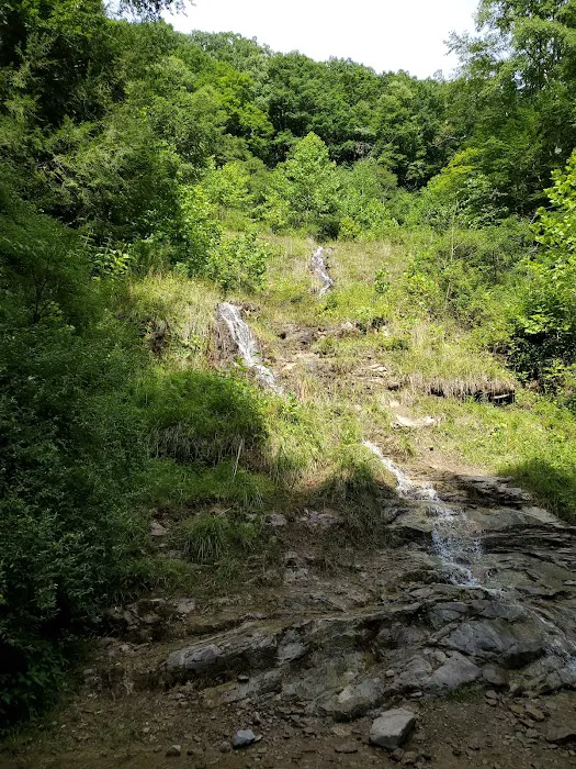 Pinnacle Creek ATV Campground 6