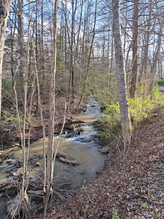 Brushcreek Falls Resort 10
