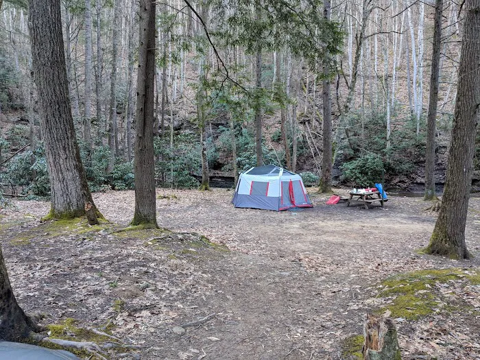 Mash Fork Campground 3